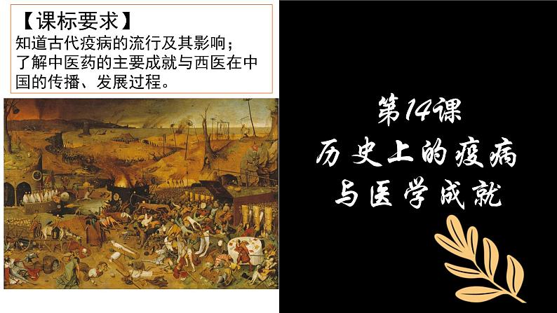 第14课 历史上的疫病与医学成就 课件--2022-2023学年高中历史统编版（2019）选择性必修二经济与社会生活第3页