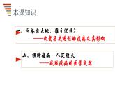 第14课 历史上的疫病与医学成就 课件--2022-2023学年高中历史统编版（2019）选择性必修二经济与社会生活
