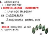部编版高中历史选择性必修一第15课 货币的使用与世界货币体系的形成课件PPT