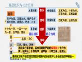 第17课 中国古代的户籍制度与社会治理 (4)课件PPT