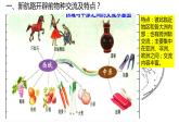 高中统编历史新教材选择性必修2《经济与社会生活》课件第2课