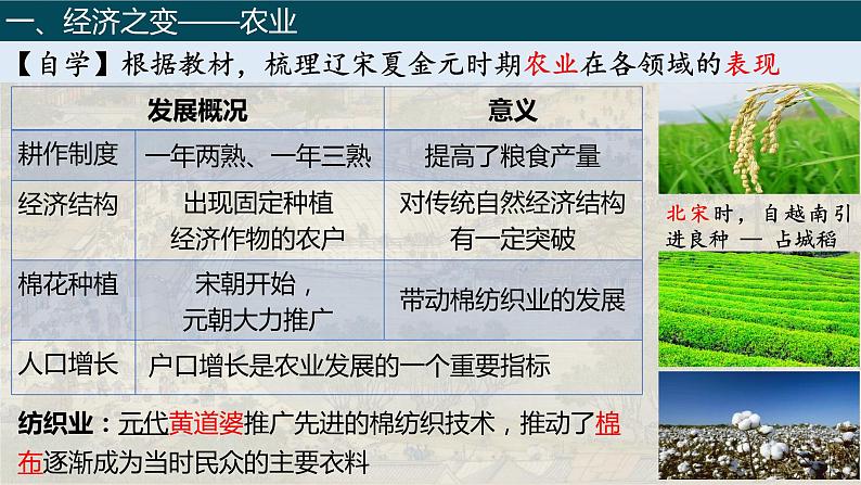 第11课 辽宋夏金元的经济、社会与文化必修中外历史纲要上 (3)课件PPT第4页