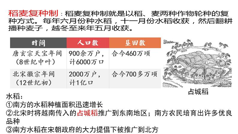 第11课 辽宋夏金元的经济、社会与文化必修中外历史纲要上 (8)课件PPT第4页