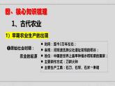 新高考历史二轮复习提升课件专题2中国古代的经济与社会生活（含解析）