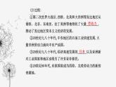 人教版高中歷史選擇性必修3第三單元人口遷徙、文化交融與認同第八課現代社會的移民和多元文化課件