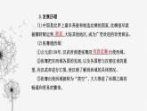 人教版高中历史选择性必修3第四单元商路、贸易与文化交流第九课古代的商路、贸易与文化交流课件