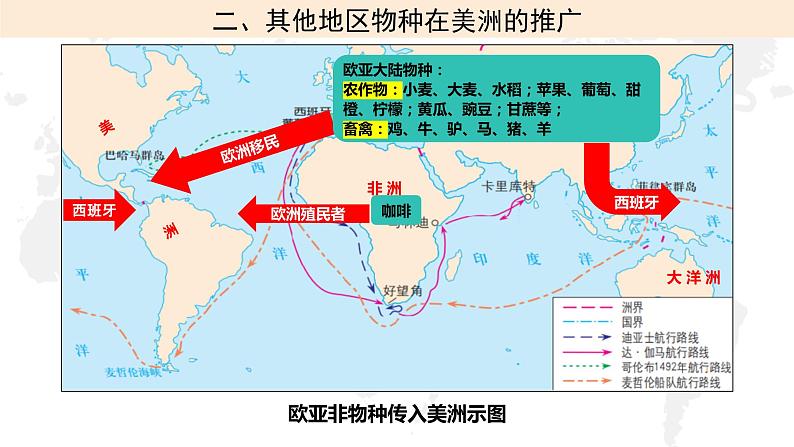 第2课  新航路开辟后的食物物种交流备课课件+分层作业08