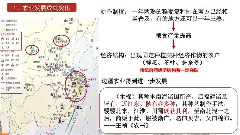 第11课 辽宋夏金元的经济与社会课件第3页