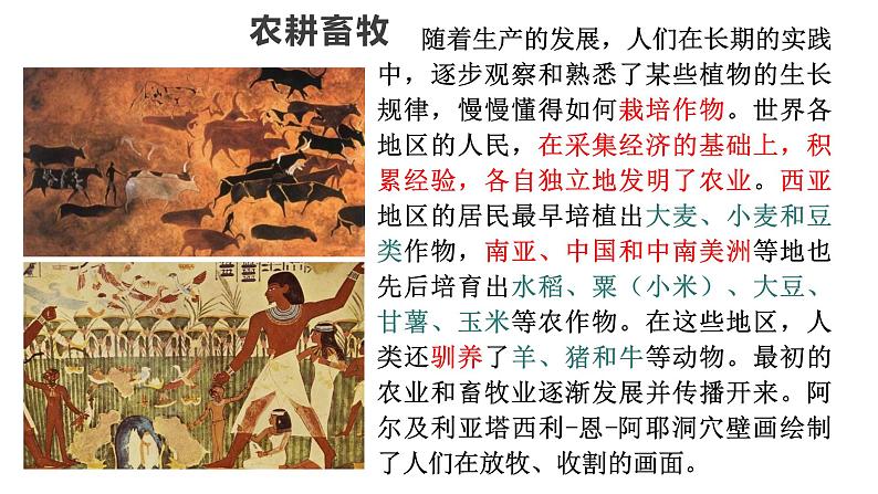 第1课 文明的产生与早期发展课件07