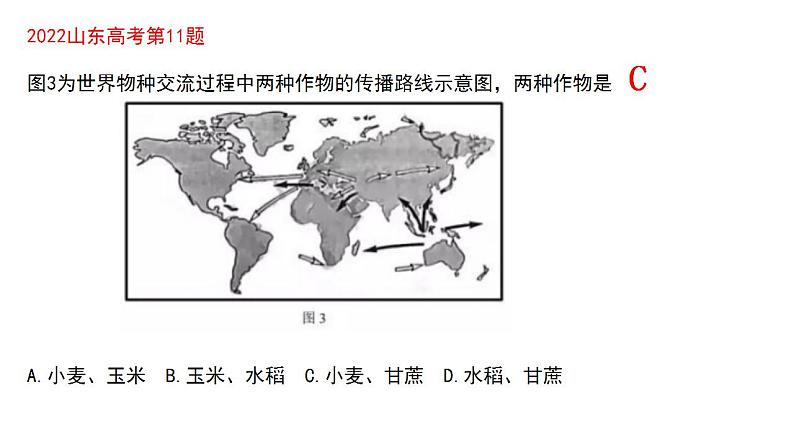 第三单元走向整体的世界大单元整合课课件第7页