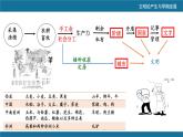 第1课文明的产生与早期发展课件