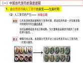 第15课 货币的使用与世界货币体系的形成课件