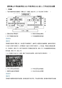 四川省绵阳南山中学实验学校2023-2024学年高二11月月考历史试题(含解析)