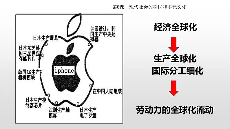 第8课现代社会的移民和多元文化课件第6页