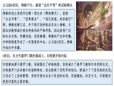 第5课 南亚、东亚和美洲的文化课件