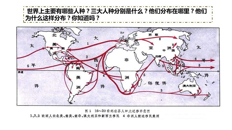 第7课 近代殖民活动和人口的跨地区转移课件01