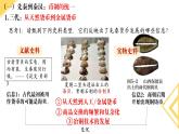 第15课 货币的使用2023-2024学年高二历史上课课件