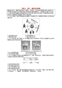 适用于新高考新教材通史版2024版高考历史二轮复习题型强化练训练8图片漫画类选择题（附解析）