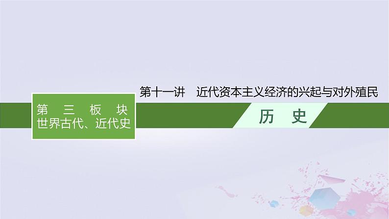 适用于新高考新教材广西专版2024届高考历史二轮总复习第三板块世界古代近代史第十一讲近代资本主义经济的兴起与对外殖民课件01