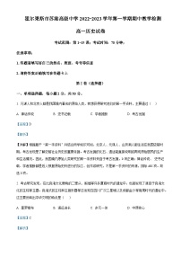 2023-2024学年新疆伊犁州霍尔果斯市苏港中学高一上学期期中历史试题含解析