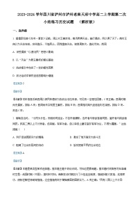 2023-2024学年四川省泸州市泸州老窖天府中学高二上学期第二次小结练习历史试题含答案