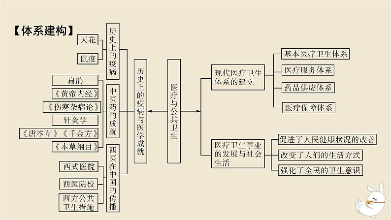 新教材2024版高中历史第六单元医疗与公共卫生单元总结提升课件部编版选择性必修2第2页