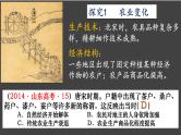 辽宋夏金元的经济、社会与文化 课件-2024届高考统编版（2019）必修中外历史纲要上册一轮复习