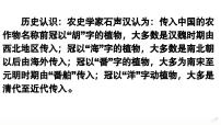 高中历史人教统编版选择性必修2 经济与社会生活第一单元 食物生产与社会生活第2课 新航路开辟后的食物物种交流集体备课课件ppt