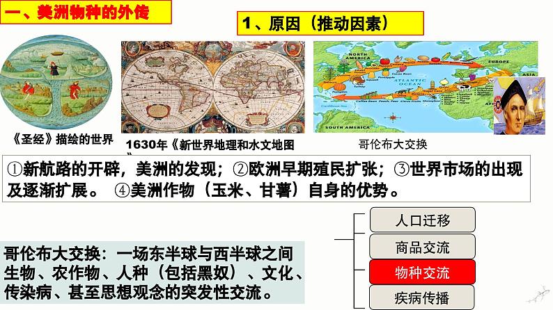 第2课 新航路开辟后的食物物种交流课件07