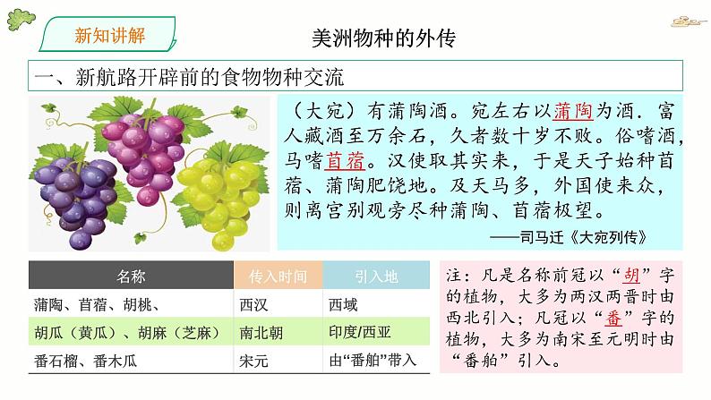 第2课 新航路开辟后的食物物种交流优秀课件第6页