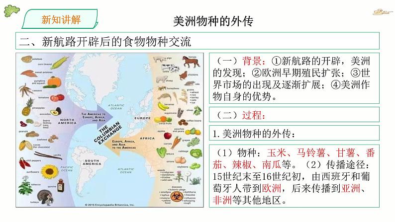 第2课 新航路开辟后的食物物种交流优秀课件第8页