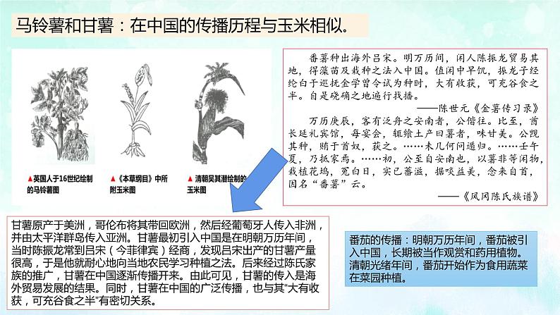 第2课 新航路开辟后的食物物种交流教学课件第8页