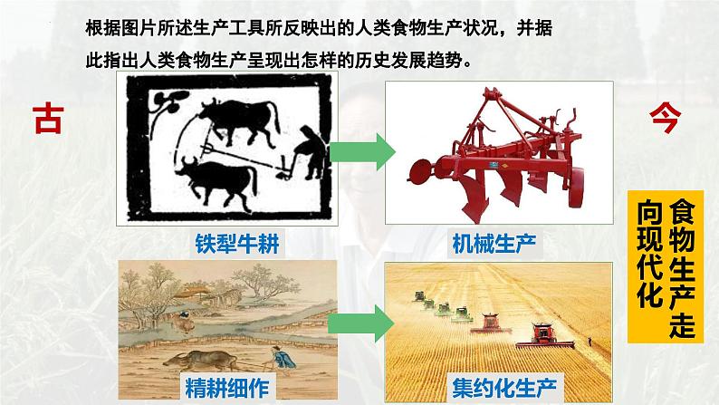 第3课 现代食物的生产、储备与食品安全课件第3页