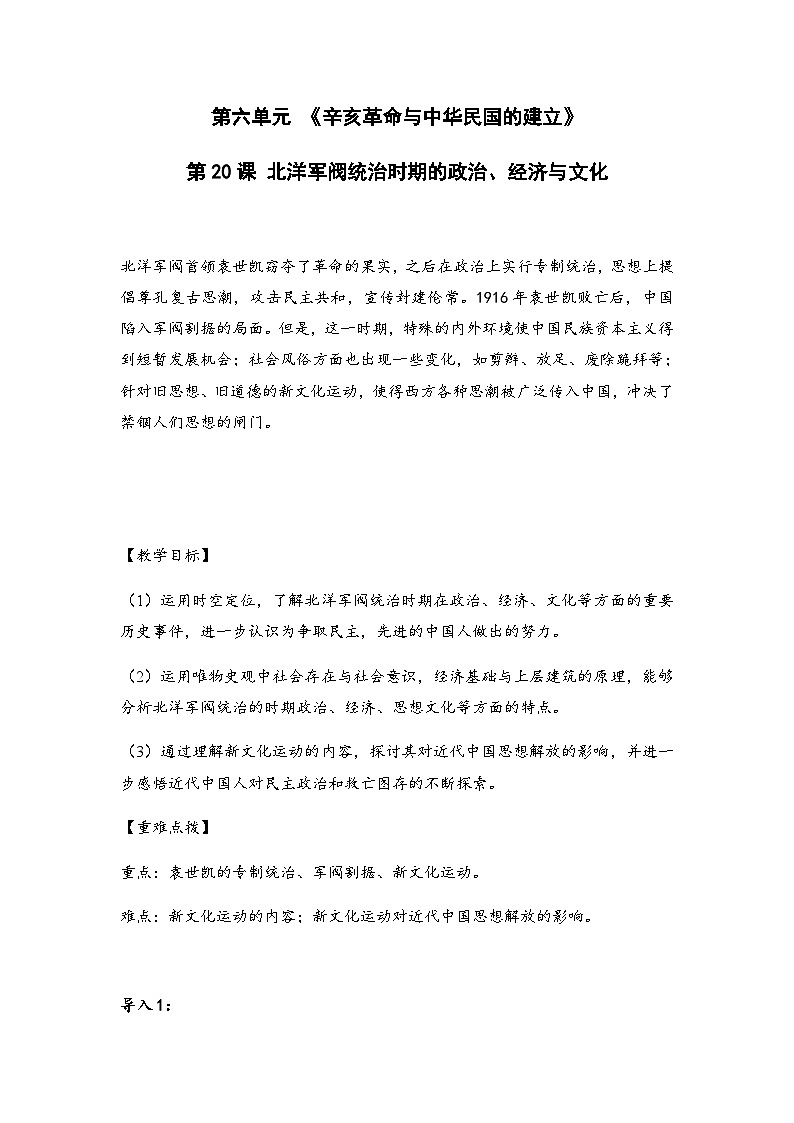 第19课 北洋军阀统治时期的政治、经济与文化教案第1页