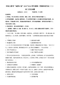 河南省驻马店市环际大联考“逐梦计划”2023-2024学年高二历史上学期阶段考试试卷（三）（Word版附解析）