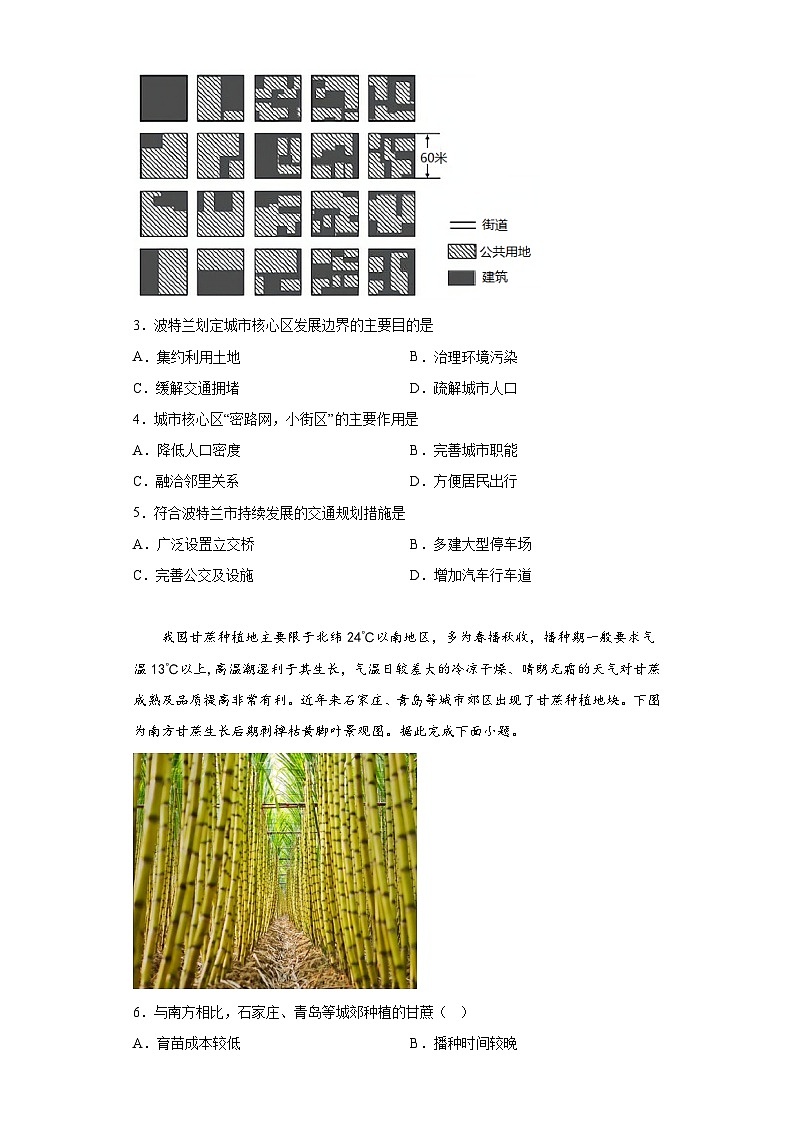 四川省绵阳南山中学 2023-2024学年高三上学期12月月考文综 历史试题（含解析）02