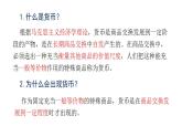 第15课  货币的使用与世界货币体系的形成 课件--2023-2024学年高中历史统编版2019选择性必修1