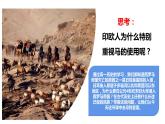 第6课 古代人类的迁徙和区域文化的形成课件---2023-2024学年高二上学期历史统编版（2019）选择性必修3