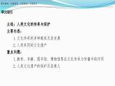 第14课 文化传承的多种载体及其发展 课件--2023-2024学年高二下学期历史统编版（2019）选择性必修3文化交流与传播
