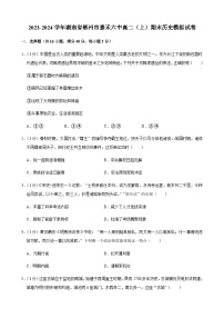 2023-2024学年湖南省郴州市嘉禾六中高二（上）期末历史模拟试卷（含答案）