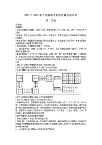 2024郴州高二上学期期末历史试卷含答案