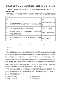 湖北省武汉市常青联合体2023-2024学年高一上学期期末历史试题（Word版附解析）