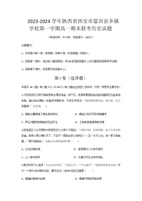 2023-2024学年陕西省西安市蓝田县乡镇学校第一学期高一上学期期末联考历史试题含答案