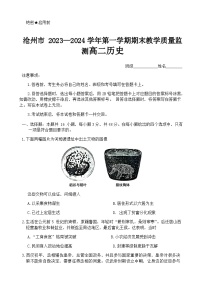 2023-2024学年河北省沧州市高二上学期期末教学质量监测历史试题解析版