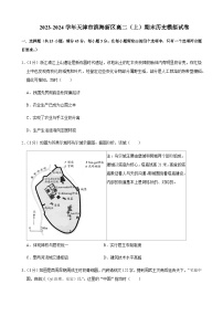 2023-2024学年天津市滨海新区高二上学期期末模拟历史试题解析版