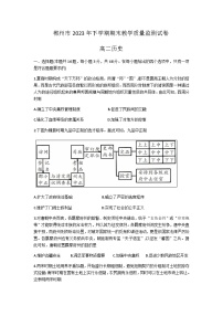 2023-2024学年湖南省郴州市高二上学期期末教学质量监测历史试题含答案