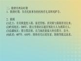统考版专题版2023高考历史二轮专题复习第一部分板块一中国古代史微专题2中国古代的民族关系与对外交往课件