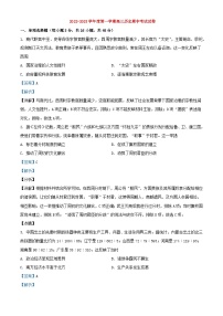 广东省揭阳市普宁市2022_2023学年高三历史上学期期中试题