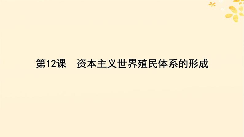 2024春高中历史第六单元世界殖民体系与亚非拉民族独立运动第12课资本主义世界殖民体系的形成课件（部编版必修中外历史纲要下）04