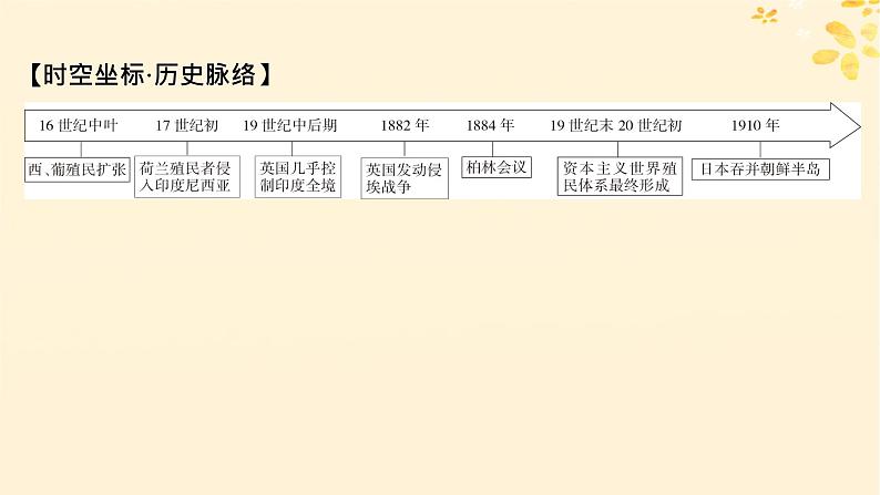 2024春高中历史第六单元世界殖民体系与亚非拉民族独立运动第12课资本主义世界殖民体系的形成课件（部编版必修中外历史纲要下）06